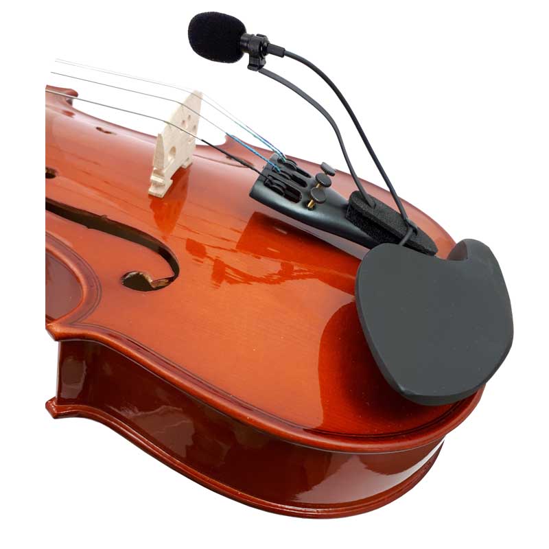 mivlviolin