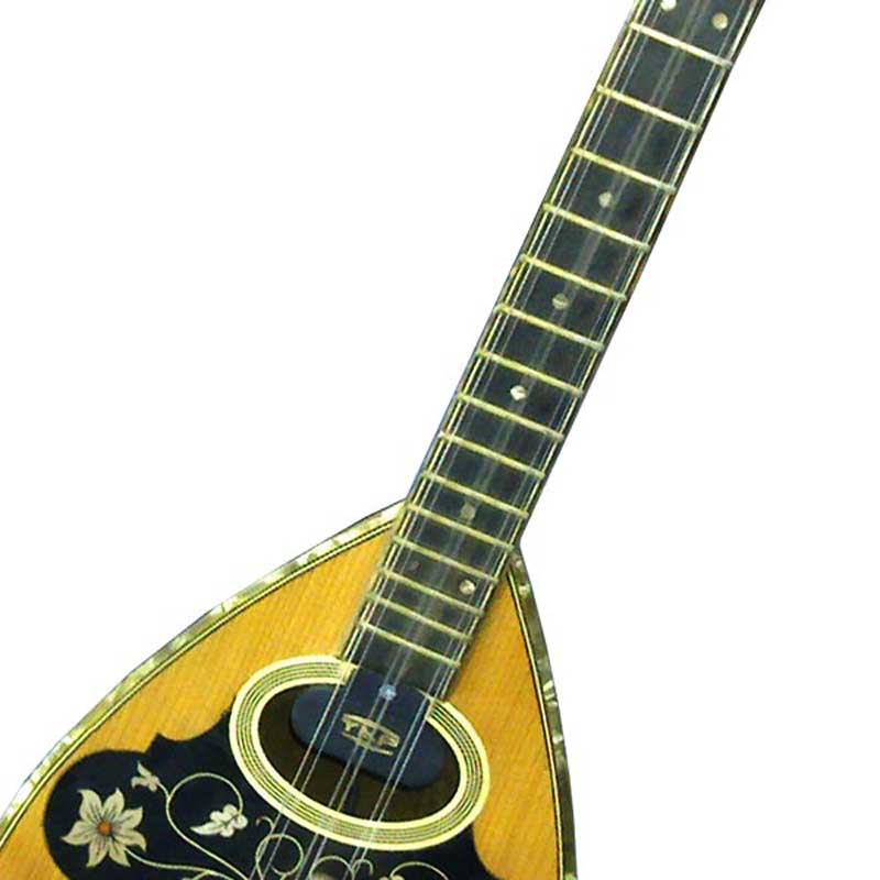 tzs2